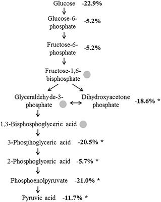 Reduction of Glycolysis Intermediate Concentrations in the Cerebrospinal Fluid of Alzheimer’s Disease Patients